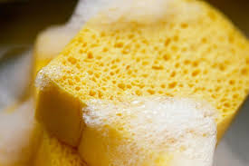 soap the sponge