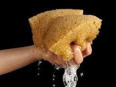 squeeze the sponge